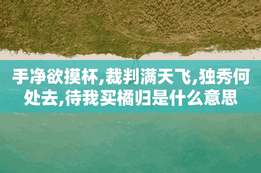 手净欲摸杯,裁判满天飞,独秀何处去,待我买橘归是什么意思